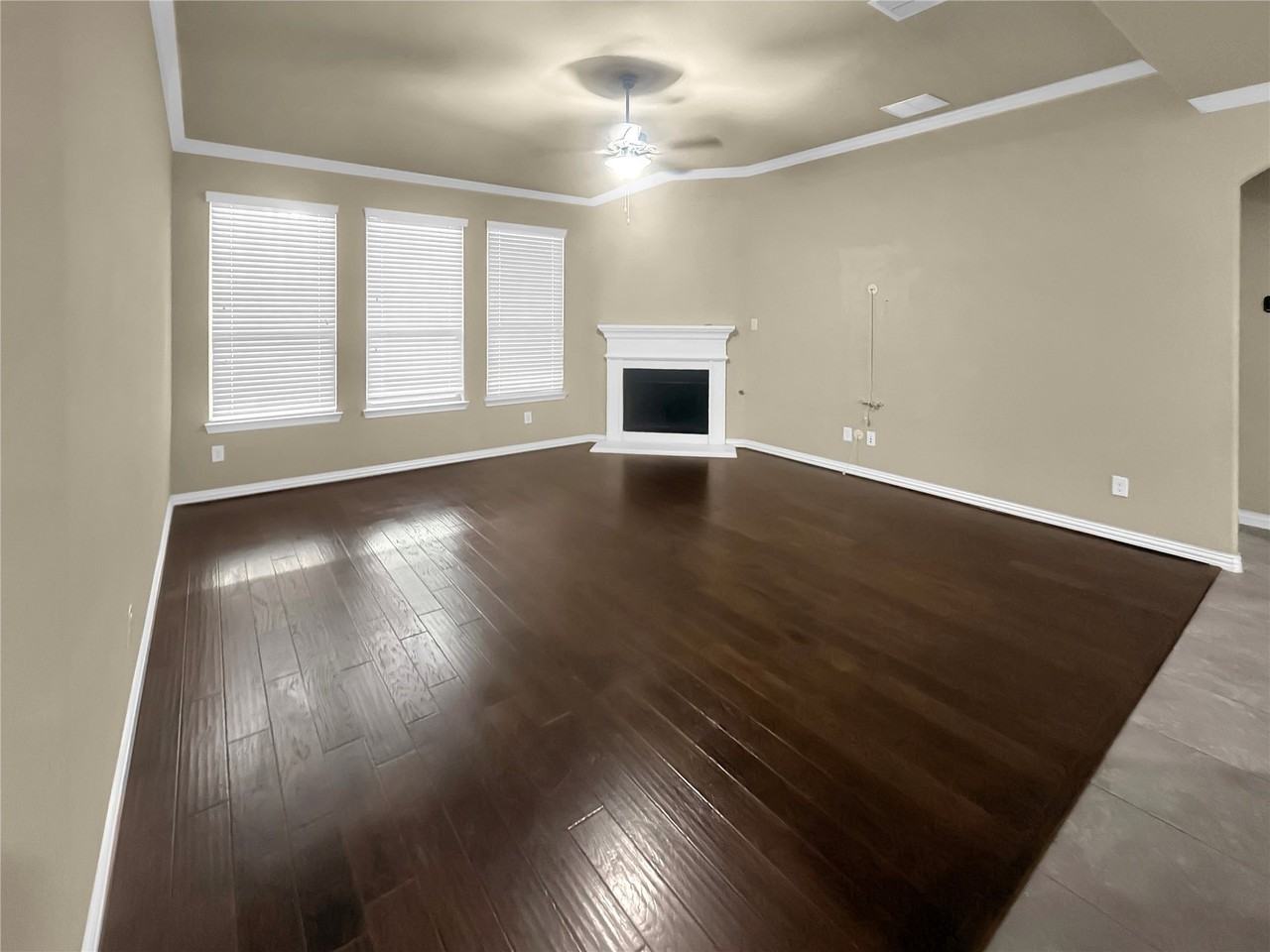 909 Blanco Ln - Photo 4 of 10