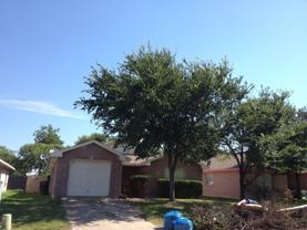 4451 Posada Dr - Photo 1 of 1