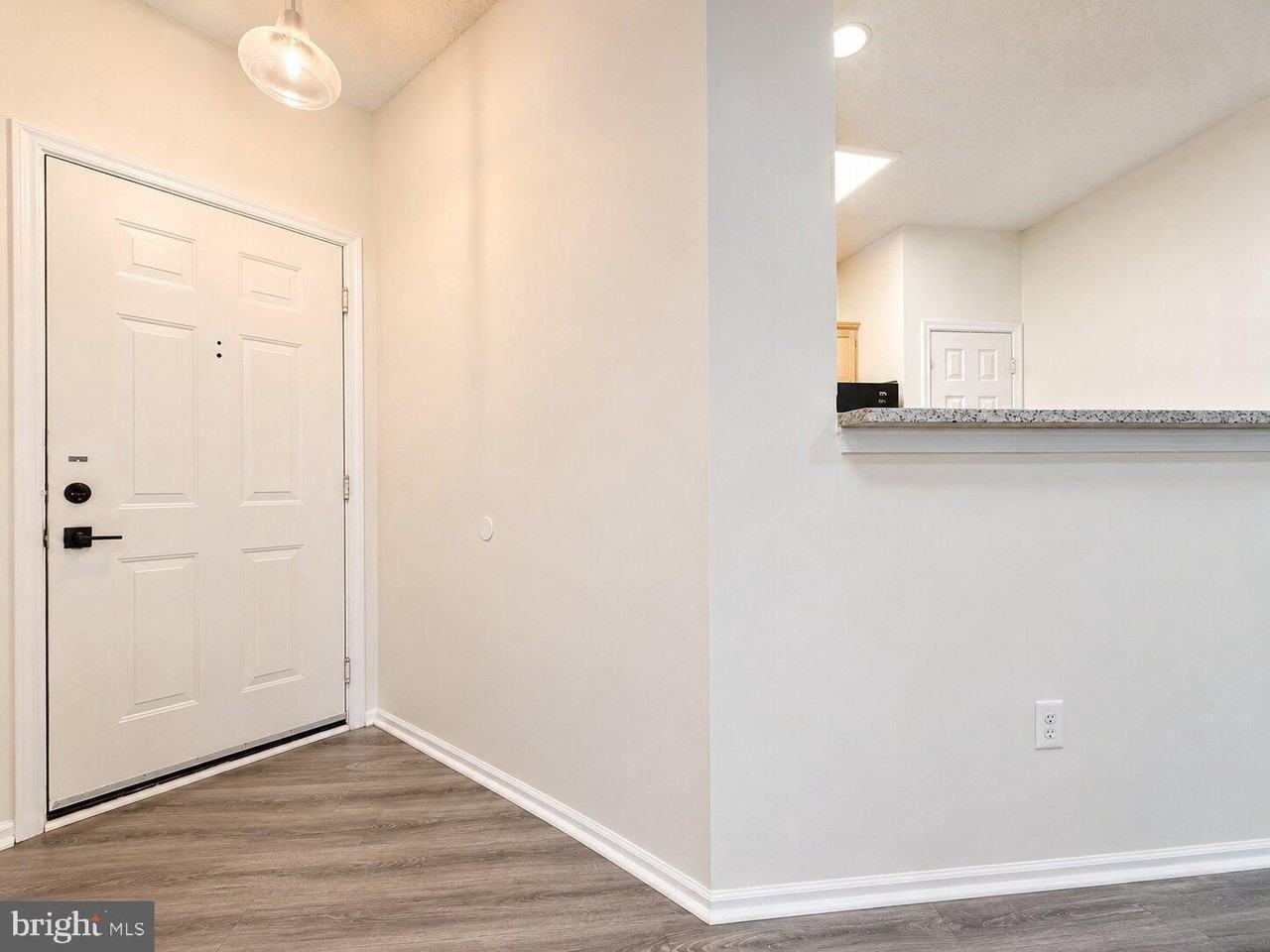 14314 Climbing Rose Way #102 - Photo 3 of 30