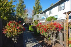 featured image of 865 S Orchard Ave