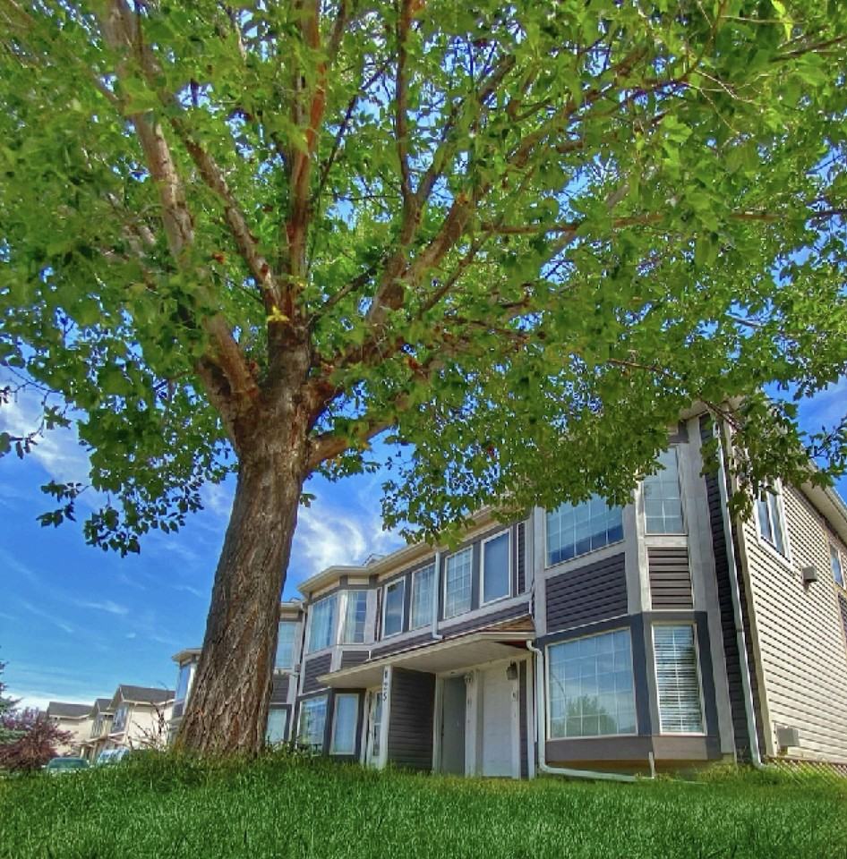 121 Strathaven Mews - Photo 2 of 22