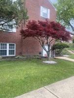 featured image of 200 Maplewood Dr #E11