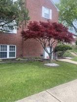 200 Maplewood Dr #E11 - Photo 1 of 1