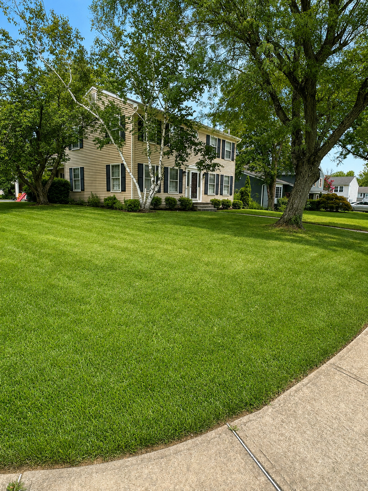 5 Dennison Pl #NA - Photo 6 of 50