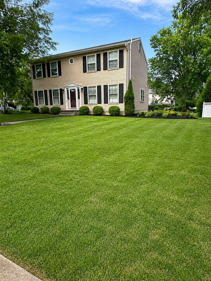 5 Dennison Pl #NA - Photo 7 of 50