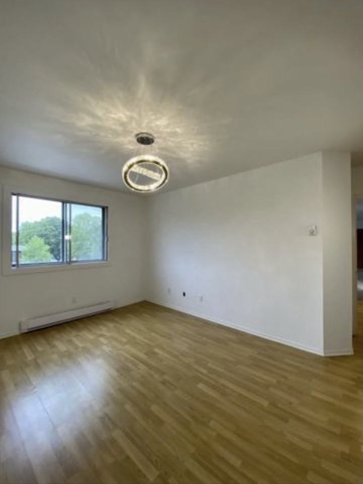 2505 Av Letourneux - Photo 4 of 11
