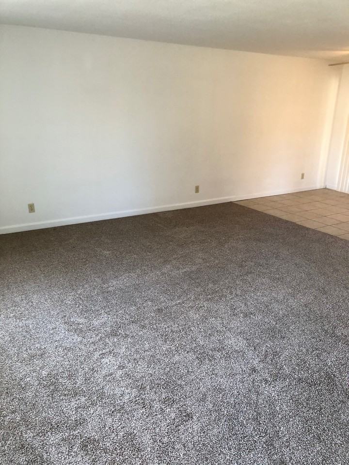805 Wright Ave - Photo 3 of 17
