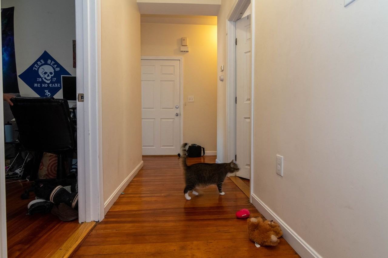 55 Brackett St - Photo 3 of 12