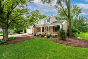 featured image of 683 Honeysuckle Dr