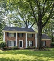 featured image of 1562 Holly Hill Dr