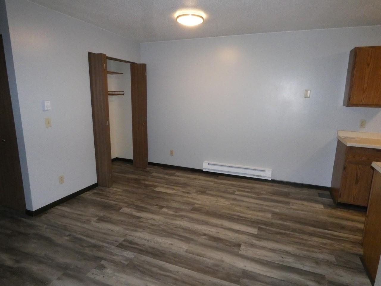 303 New Well Rd - Photo 7 of 12