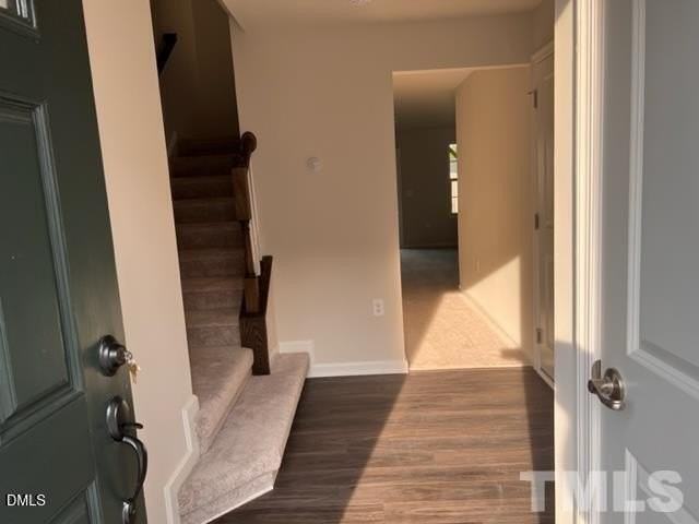 1009 Romeria Dr - Photo 2 of 15