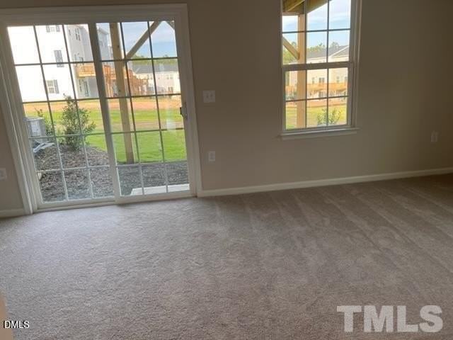 1009 Romeria Dr - Photo 3 of 15