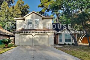featured image of 22 S Rain Forest Ct