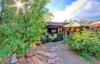 6604 E Dove Valley Rd #NA - Photo 1 of 1