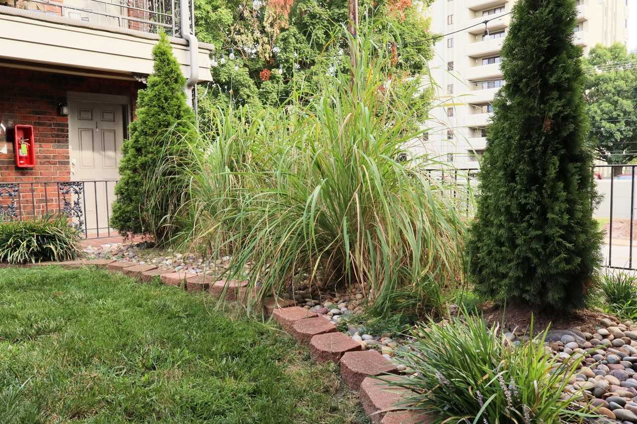 926 E Walnut St #926-9 - Photo 5 of 16