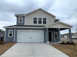 featured image of 178 Shiro Dr