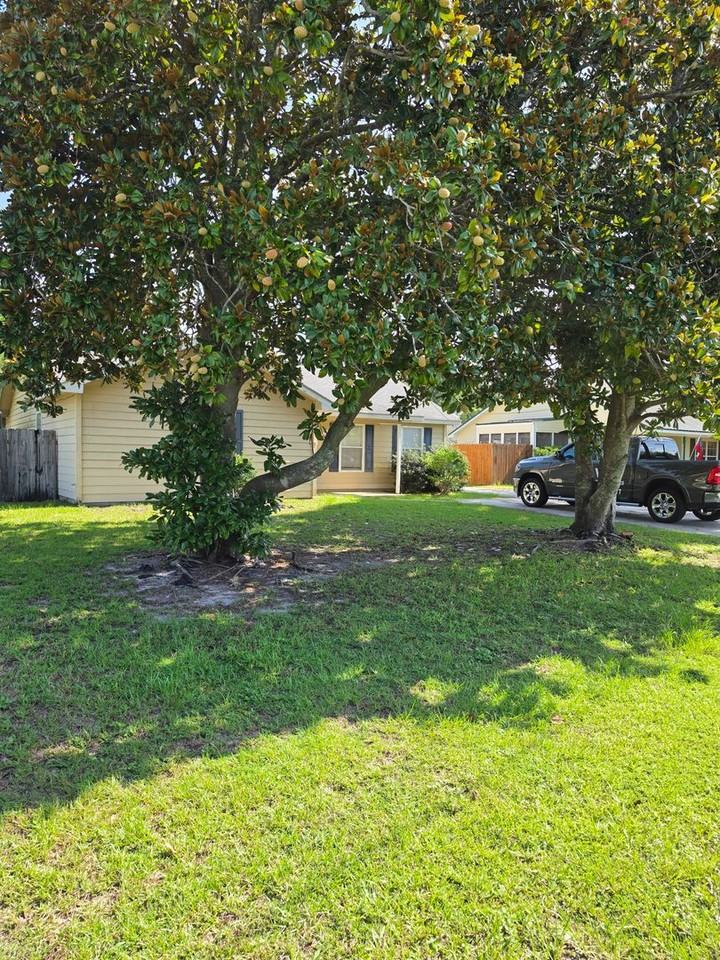 620 Honey Ridge Ln - Photo 3 of 24