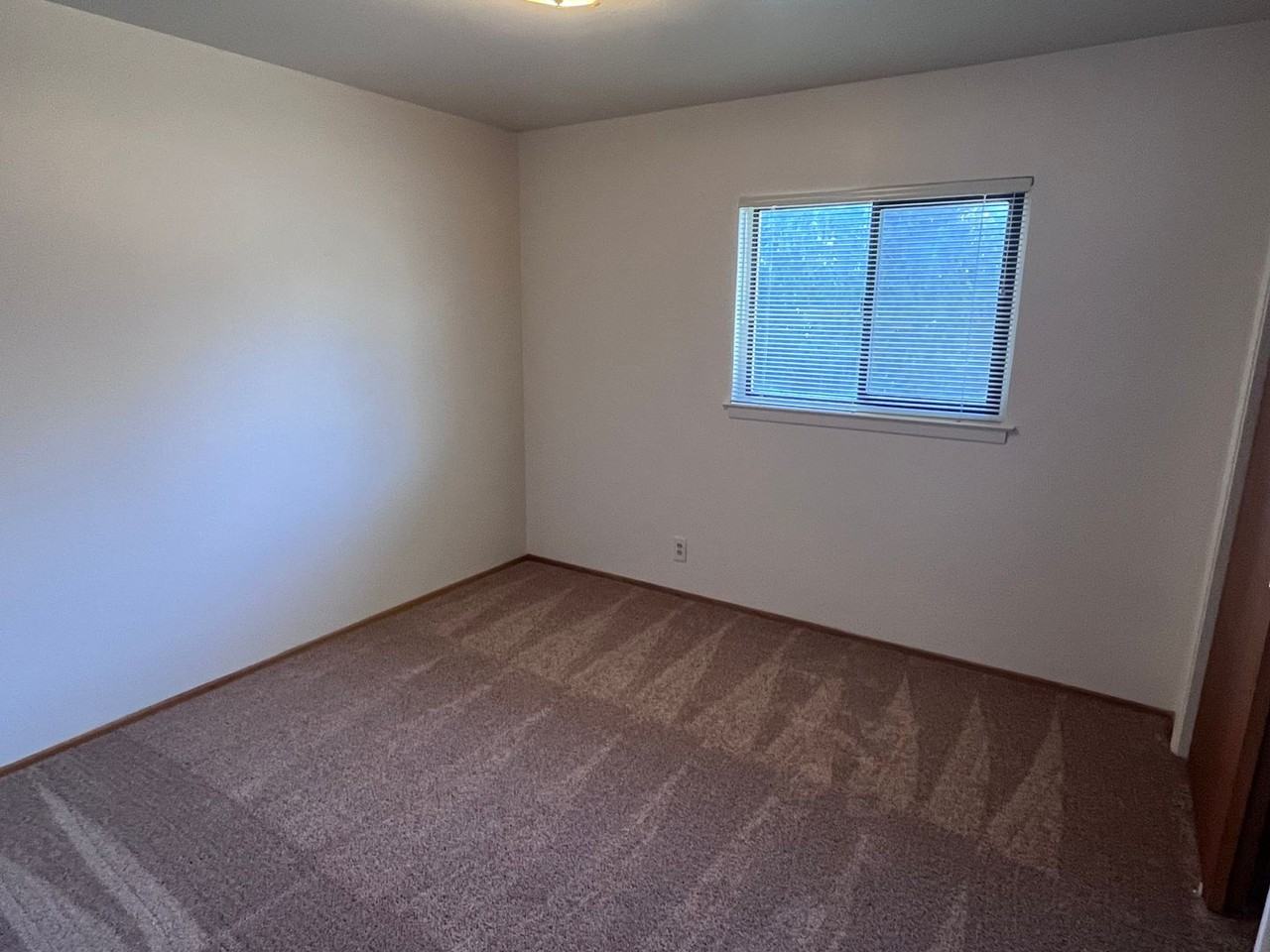4221 Frida Maria Ct - Photo 7 of 15