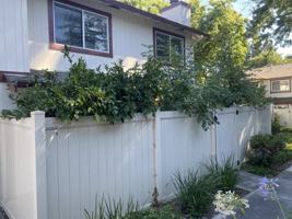 featured image of 2539 Blue Rock Ct #1
