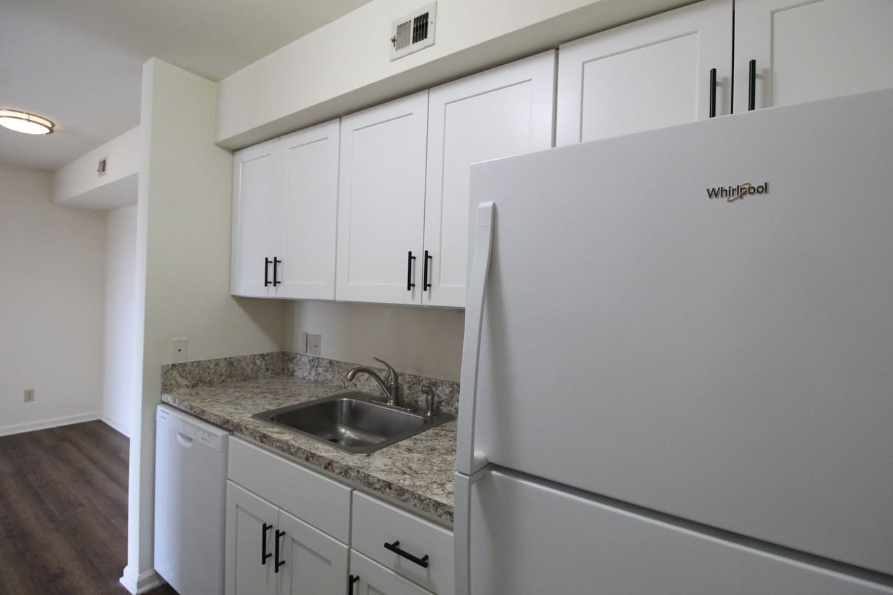 1116 Blue Ridge Dr - Photo 4 of 22