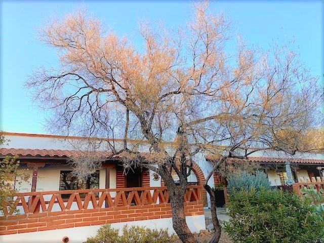 402 S Paseo Quinta Apt B - Photo 2 of 21