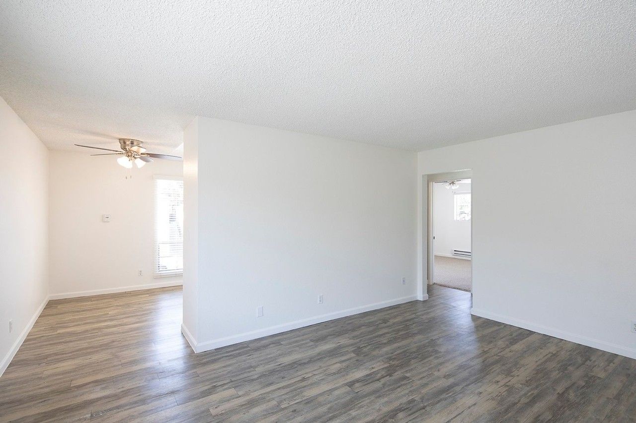 Palm Towers Apartments - Photo 2 of 34