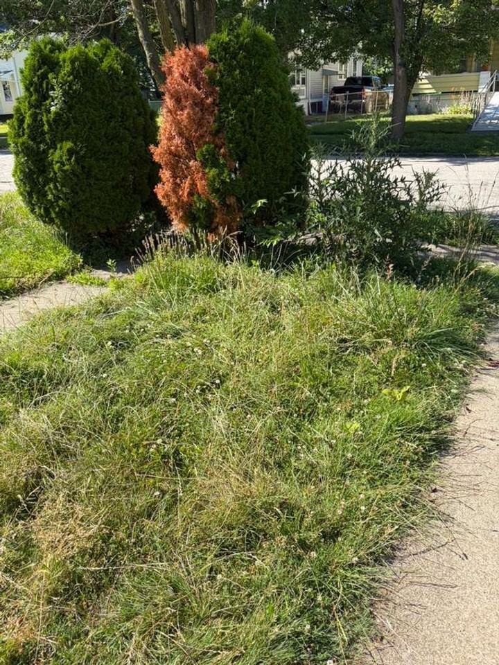 13618 Argus Ave - Photo 7 of 31