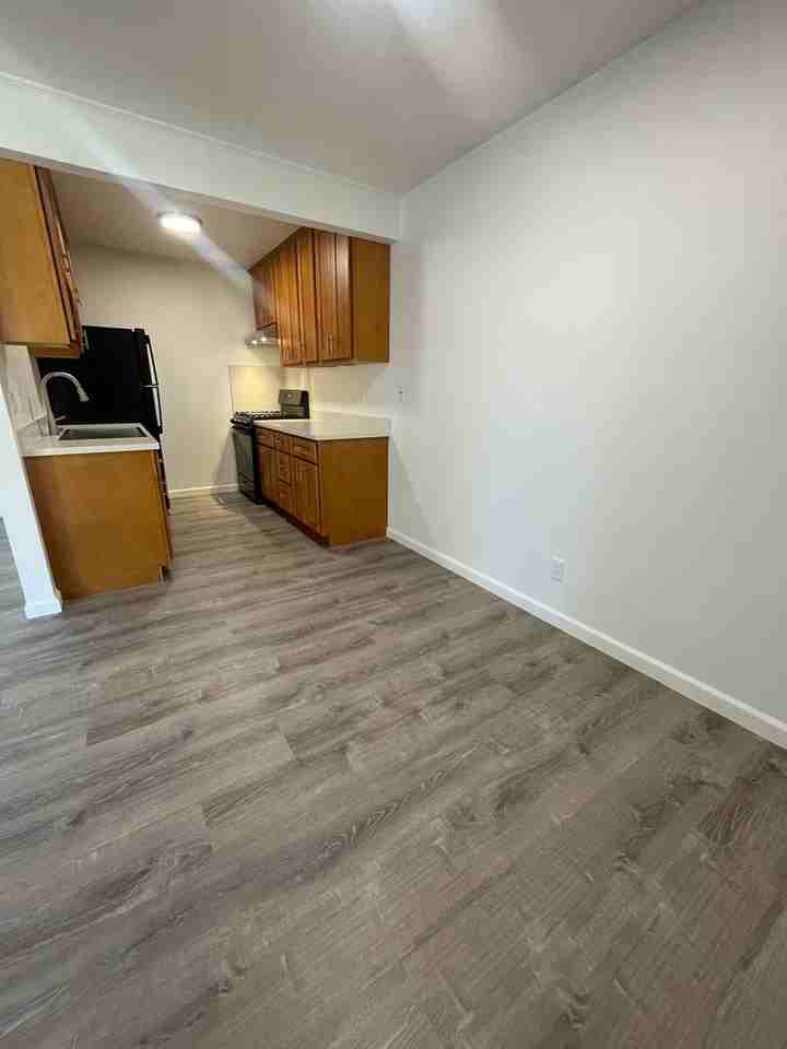 262 Mariposa Ave - Photo 7 of 15