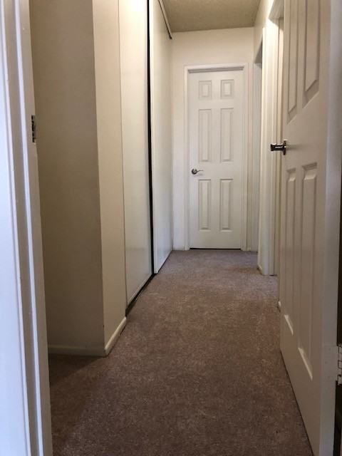 3563 D St - Photo 7 of 14
