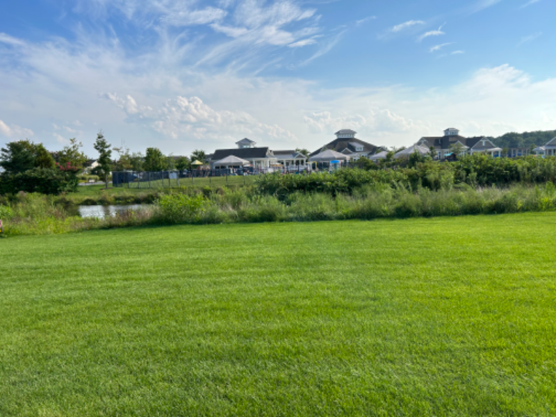 39123 Sail Away Ln - Photo 4 of 45