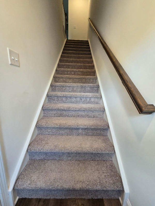3116 Butler Hill Dr - Photo 4 of 17