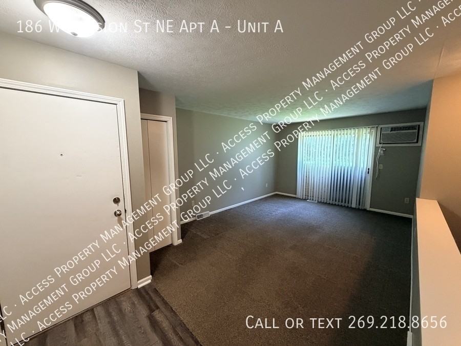 186 W Division St Ne Apt A #A - Photo 4 of 33