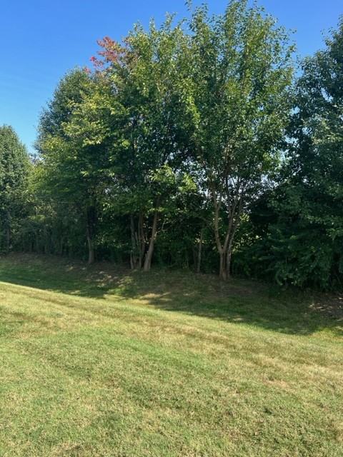1123 Charles Lee Ct #1123 - Photo 4 of 20