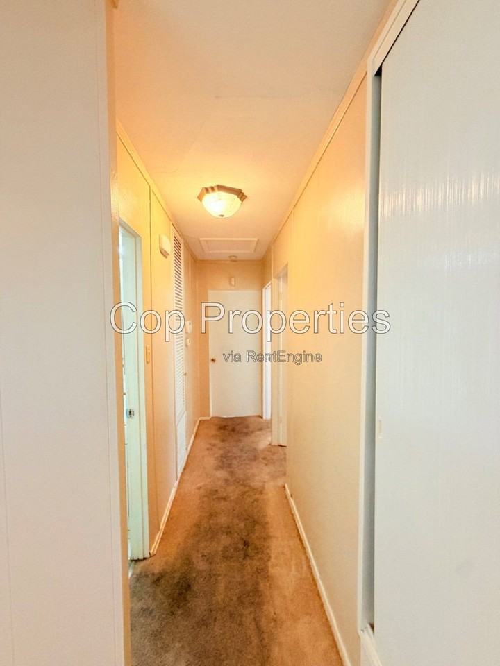 4503 Eisenhauer Rd - Photo 7 of 17