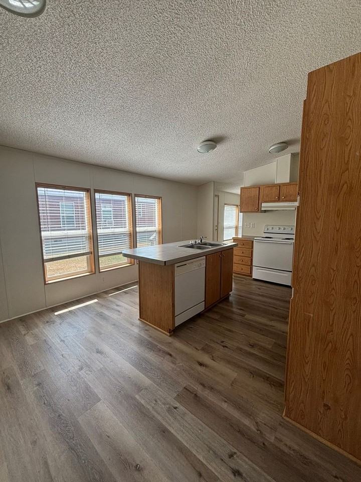 221 Silver Maple Dr - Photo 4 of 16