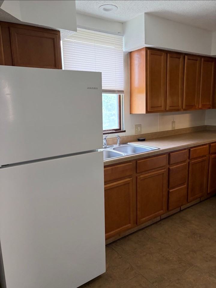 1127 S Ellis St - Photo 2 of 3