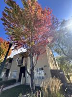 featured image of 502 South 15th Street - 1Apt 104 #1