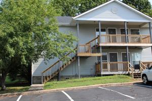 featured image of 103 Sweet Gum #103