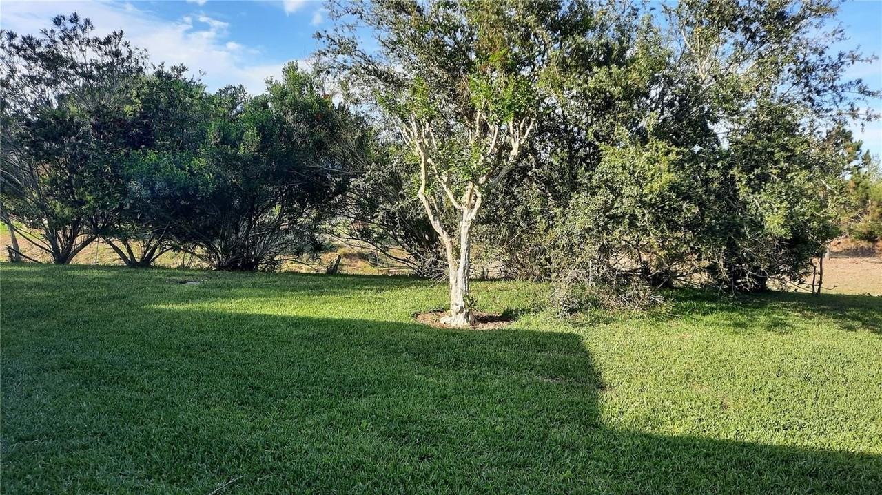 1315 Elli Cir - Photo 3 of 38