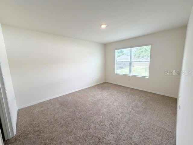 709 Versailles Ln - Photo 6 of 24