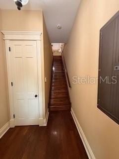 44 S Magnolia Ave - Photo 6 of 23