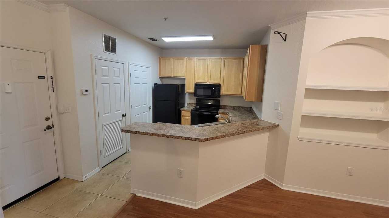 10121 Courtney Palms Blvd #201 - Photo 3 of 19
