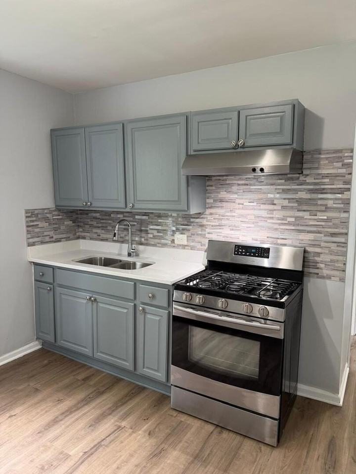 6739 S Laflin St #2 - Photo 4 of 8