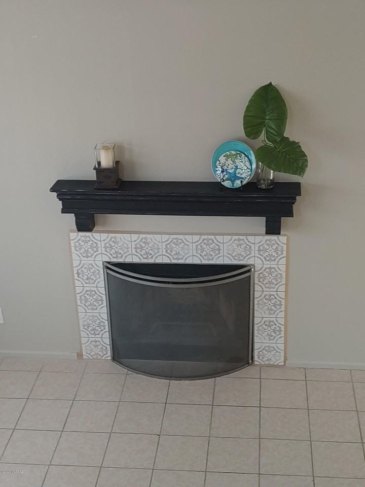 881 E Peppergrass Ln - Photo 3 of 13