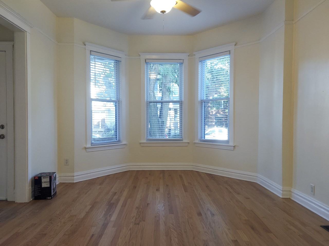 3446 N Damen Ave #1 - Photo 3 of 19
