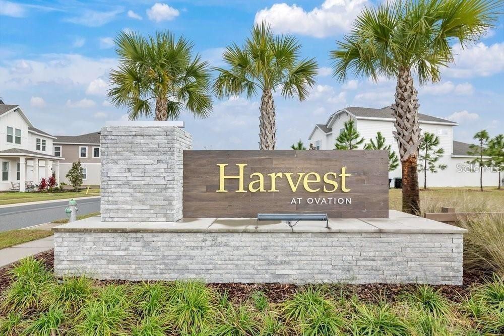 15026 Summer Harvest St - Photo 3 of 10