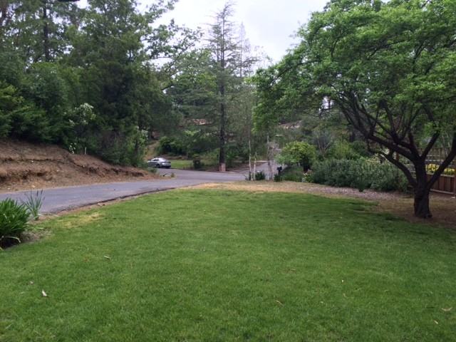 18114 Bancroft Ave - Photo 2 of 8