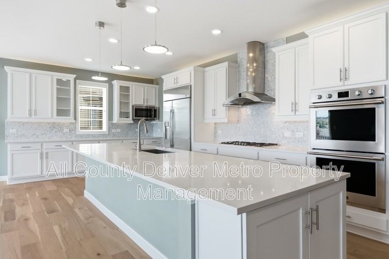 16910 W 95th Pl - Photo 6 of 25