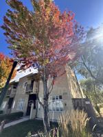 featured image of 502 S 15th St #104